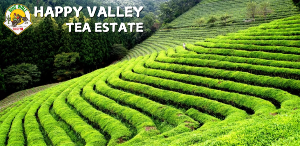 Happy Valley Tea Estate – A Serene Retreat in Darjeeling