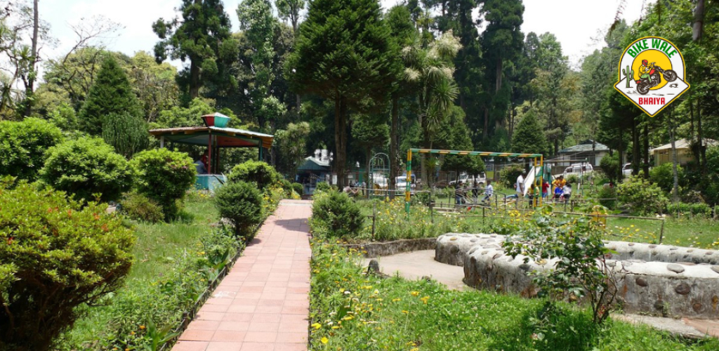 Exploring Downhill Deer Park – A Hidden Gem for Nature and Bike Enthusiasts