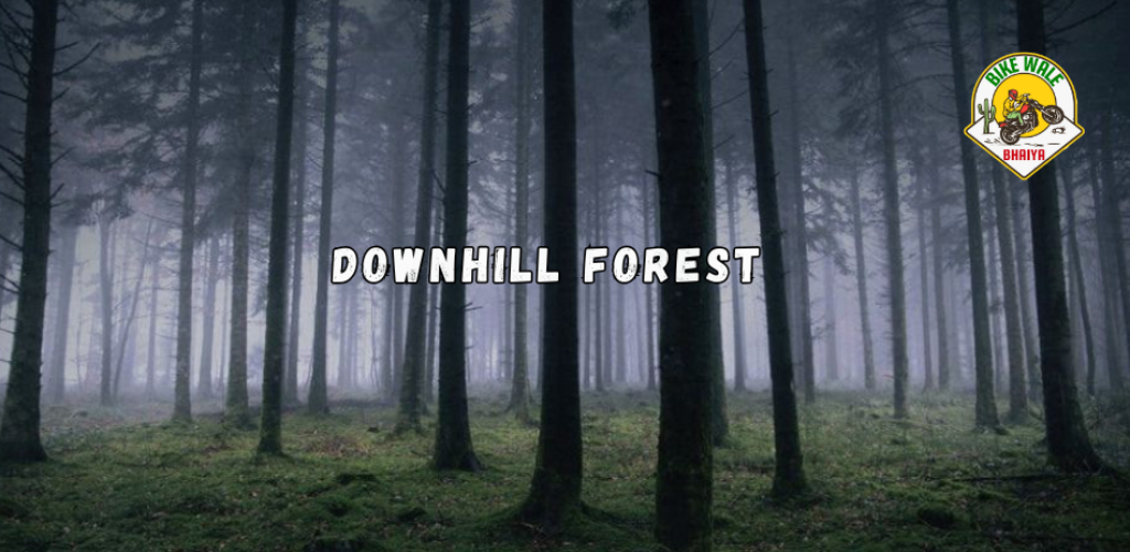 Exploring the Serenity of Downhill Forest – A Hidden Gem for Riders