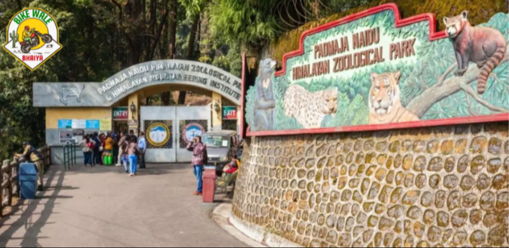 Padmaja Naidu Himalayan Zoological Park - Darjeeling