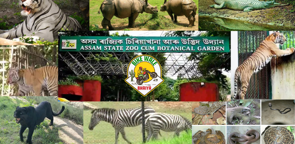 Exploring Assam Zoo – A Perfect Wildlife Getaway in Guwahati