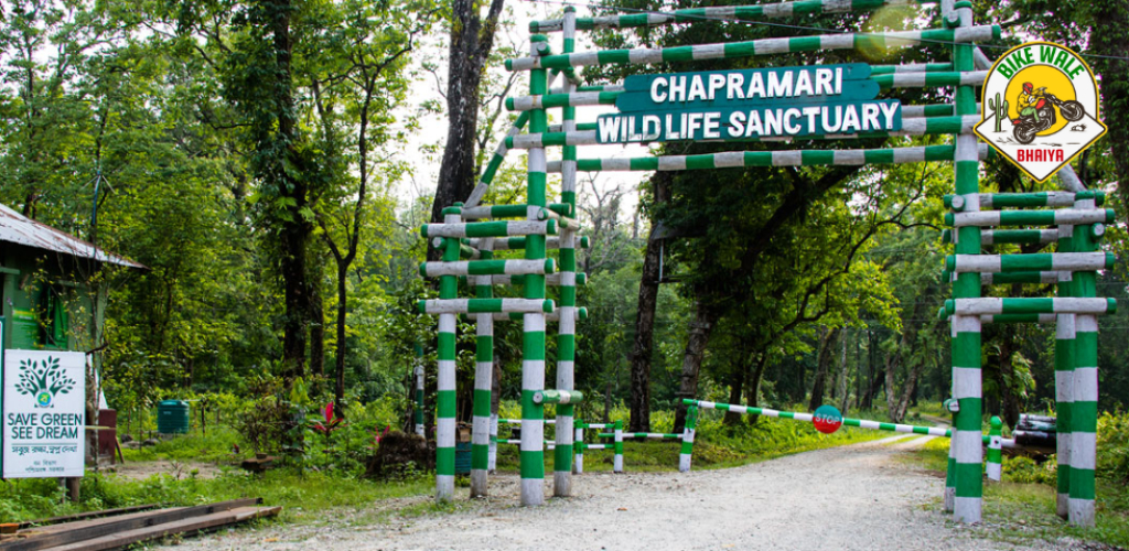 Exploring the Untamed Beauty of Chapramari Wildlife Sanctuary