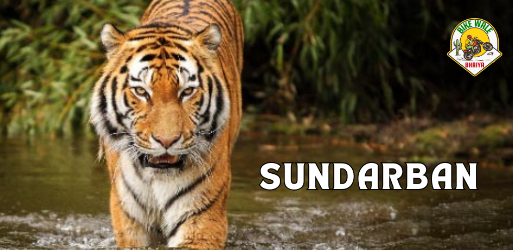 Kolkata to Sundarbans by Road – An Adventurer’s Dream