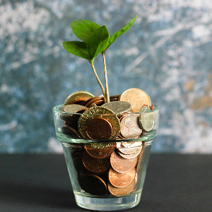 Finance